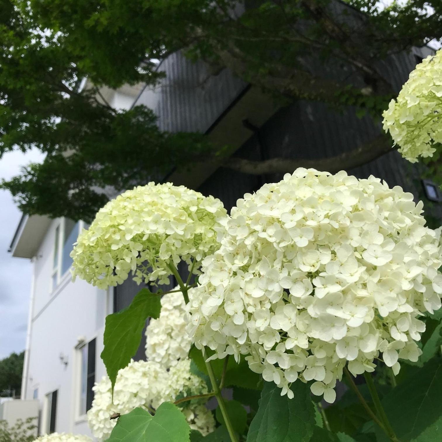 Sweet Villa Takasama - Vacation Stay 11775 فوجيوشيدا المظهر الخارجي الصورة