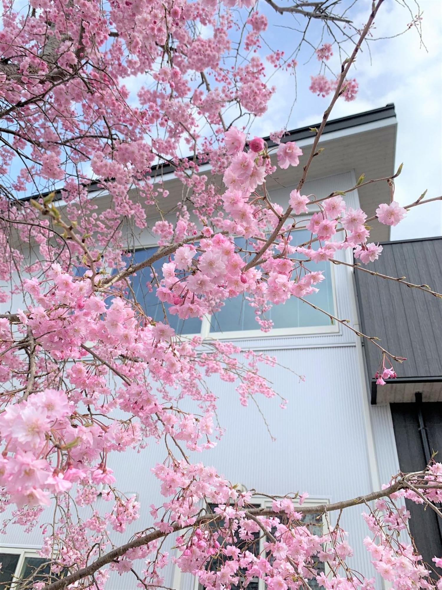 Sweet Villa Takasama - Vacation Stay 11775 فوجيوشيدا المظهر الخارجي الصورة