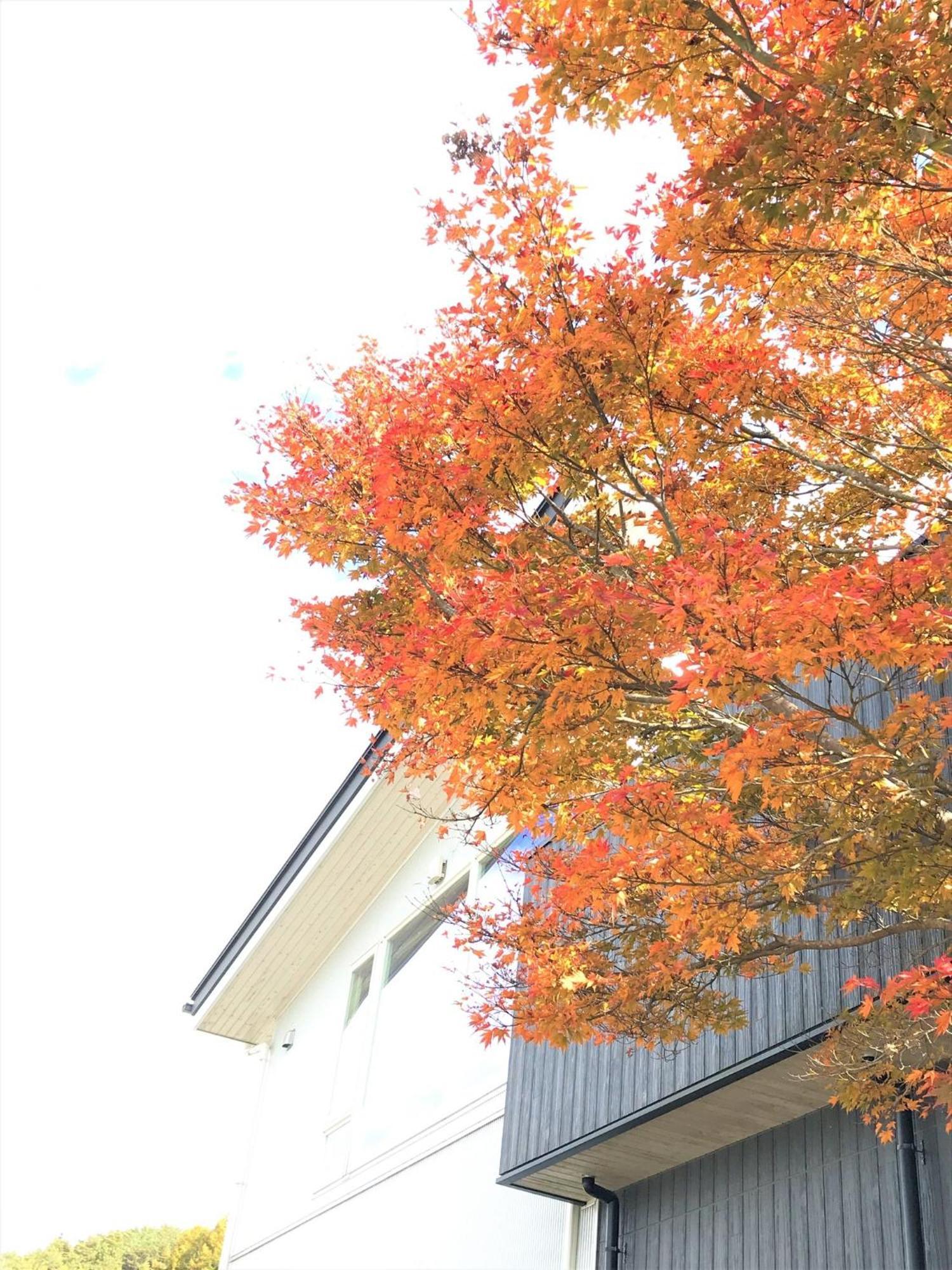 Sweet Villa Takasama - Vacation Stay 11775 فوجيوشيدا المظهر الخارجي الصورة